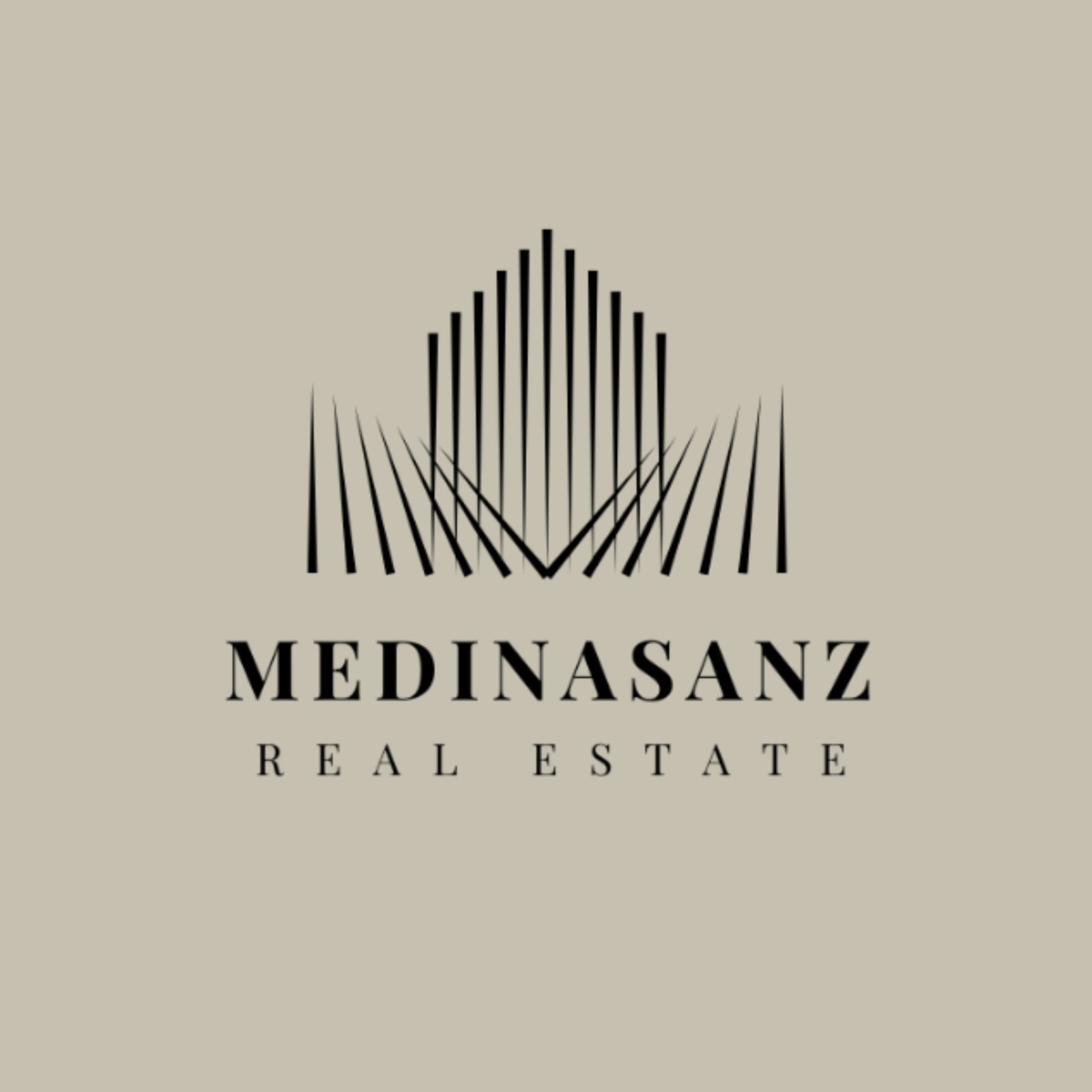 MedinaSanz Real Estate